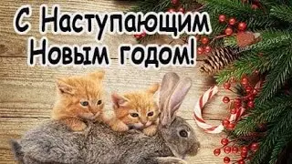 Ну....тип.... с новым годом!😛