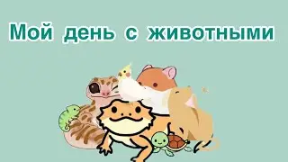 Мой день с животными❤️🌿