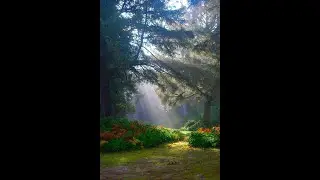 #7 RELAXING MUSIC. Спокойная музыка. #7 Медитация