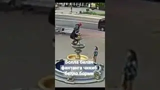 #musofir