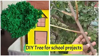 DIY Tree for school projects