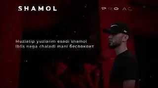 Pro Act   Shamol