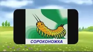 Развивающий мультфильм   Учим насекомых