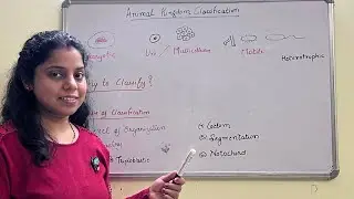 Animal kingdom Classification | Why to classify | Basis of classification | NEET
