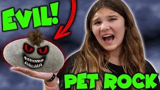 I Got A New Pet... But It's A Creepy Pet ROCK!! (Carlaylee HD Skit)
