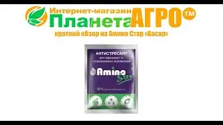 ⛑️Краткий обзор на Амино Стар 