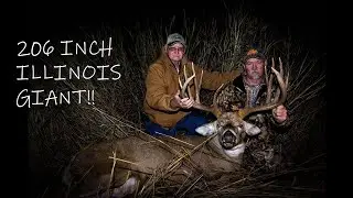 206 INCH GIANT KILLED IN ILLINOIS!