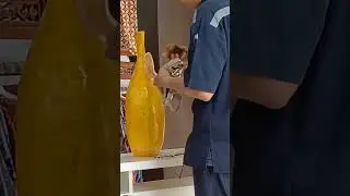 Peluang usaha baru yang menjanjikan
