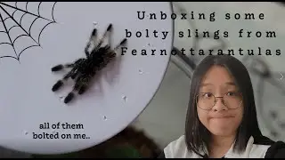 Unboxing some bolty slings (all of them bolted on me..)