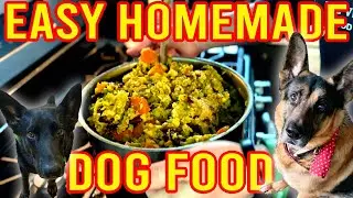 Homemade Dog Food on a Budget (Vegan Plant-Based)