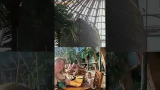 akvaпарк у себя дома & akvaпарк в Питерlande.