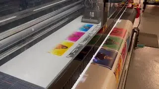 IMG_1149 (1).mov