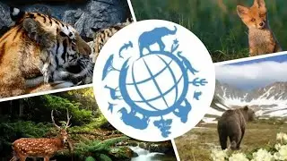 ВСЕМИРНЫЙ ДЕНЬ ИСЧЕЗАЮЩИХ ВИДОВ
