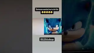 Someone wanted me to do this… #EresseMusic #SonictheHedgehog #BLEGHchallenge #memes
