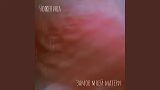 По э​т​у с​т​о​р​о​н​у х​о​л​м​а