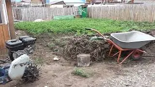 Не супер огород,   но кормит