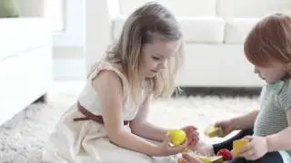 Toxic Dust In Your Home