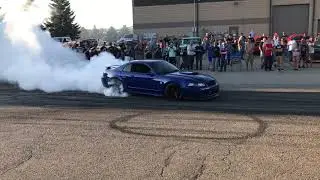 Mustang vs crowd May 2020