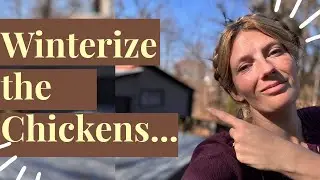 How to Winterize Your Chicken Coop & Quail Aviary: Essential Guide