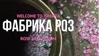 Фабрика роз в Ыспарте