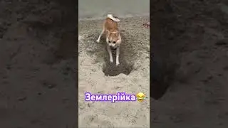 Смішна не можу😂