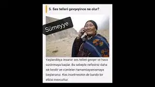 6I SeS ile ilgili ilginç Bilgiler