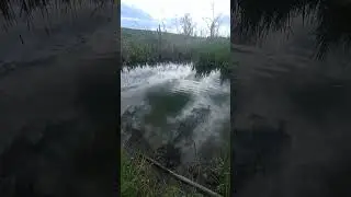 #село #fishing #рибалка #природа