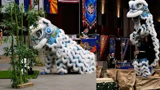 USDLDF National Dragon and Lion Dance Championships 2023 Austin Texas- mua lan 4K