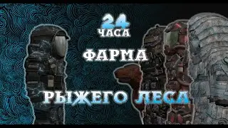STALCRAFT | 24 Часа Фарма в Рыжем Лесу(+Конкурс)