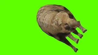 Green Screen Background Correcter In pig #die frontSide #animation #video  #youtube #greenscreen
