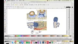 Inkscape
