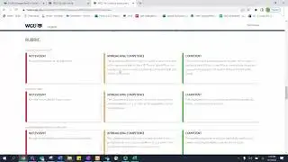 Evaluator Report