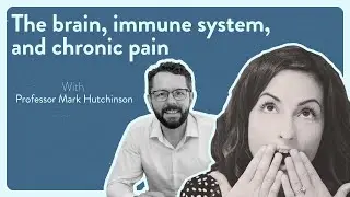 The brain, immune system, and chronic pain