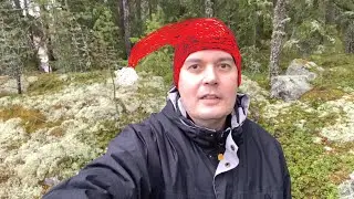 Vuosi 2020 vetelee viimeisiään