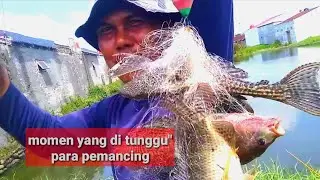 Memancing ikan Monster, boomneth langsung naik 4 ekor
