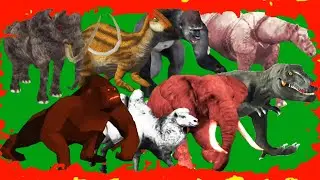 Animals Running 2 Videos Green Screen Blue Screen Black Screen HD Green Screen Video