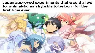 Japan is creating animal-human hybrids!