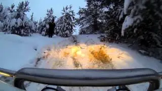 Новогодняя прогулка