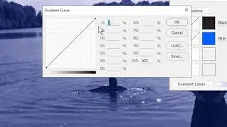 How to Use Duotone Color Curves in Photoshop
