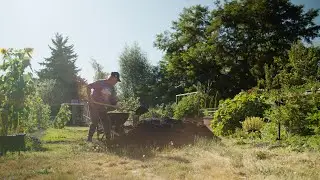 Tacoma's Community Gardens