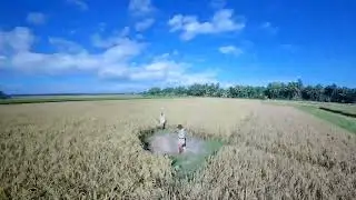 DarwinFpv BabyApe 3 Pro || Runcam ThumbPro 4K V1 Lens Mod || Gyroflow