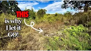 I Came Back To A MESS! | LARGE Family Homesteading | MORE Projects Completed