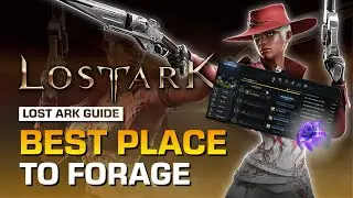 LOST ARK FORAGING GUIDE | BEST PLACE TO FORAGE
