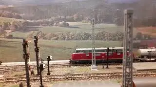 plastico Valle Caudina 5