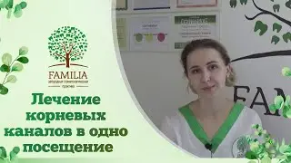 Лечение корневых каналов в одно посещение