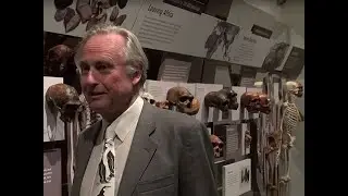 Cientíico Richard Dawkins. Nunca Existió un Primer Humano. Evolución y Ateísmo.