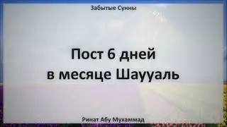 Пост 6 дней в месяце Шавваль || ШЕЙХ Ринат Абу Мухаммад 