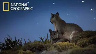 Nighttime World Patagonian Mountains | National Geographic Documentary 2023