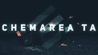 Relevant - Chemarea Ta (Lyric Video)