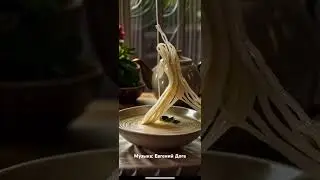 "Мой ласковый и нежный зверь" #музыка